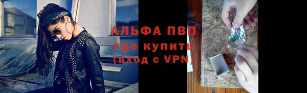 стаф Бородино