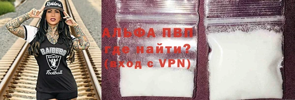 стаф Бородино
