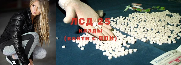 стаф Бородино